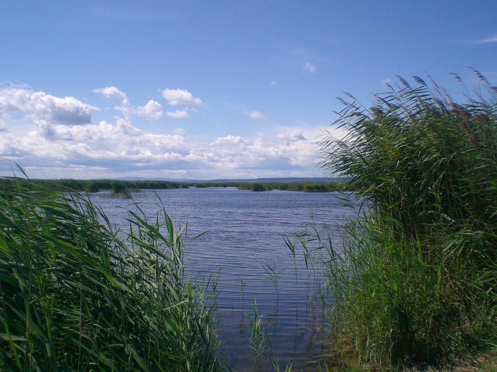 Ferienwohnungen Feldsee Illmitz Exteriör bild