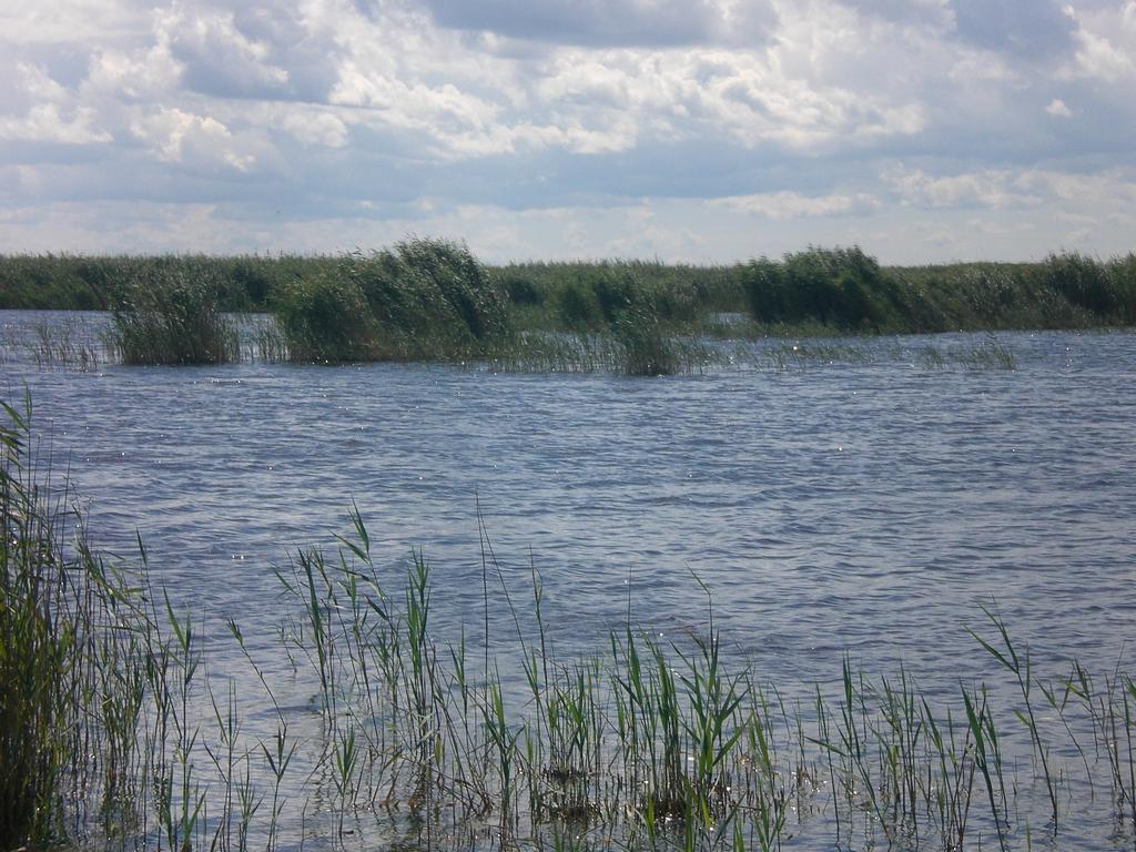 Ferienwohnungen Feldsee Illmitz Exteriör bild
